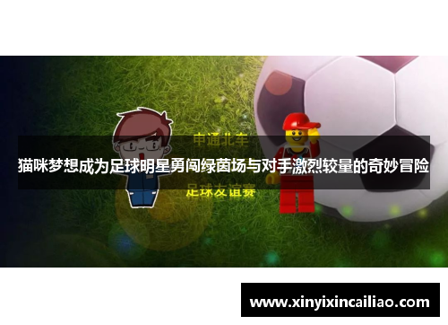 猫咪梦想成为足球明星勇闯绿茵场与对手激烈较量的奇妙冒险
