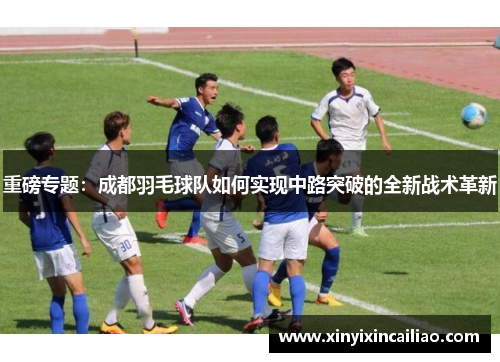 重磅专题：成都羽毛球队如何实现中路突破的全新战术革新