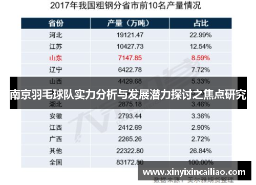 南京羽毛球队实力分析与发展潜力探讨之焦点研究